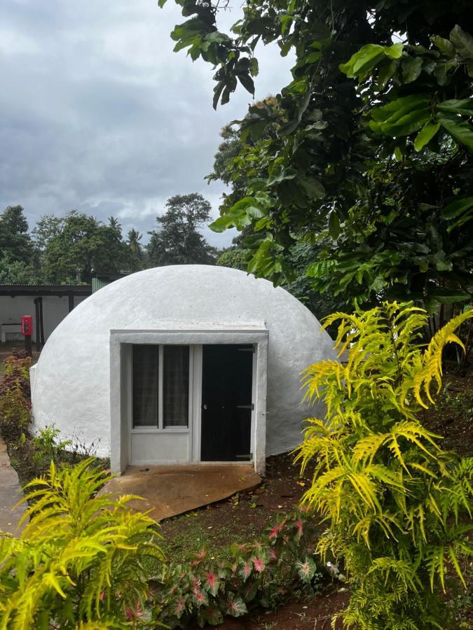Camp Taveuni Hostel Matei Kültér fotó